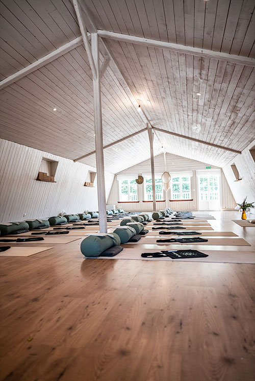 retreat-junkies-sweden-workout